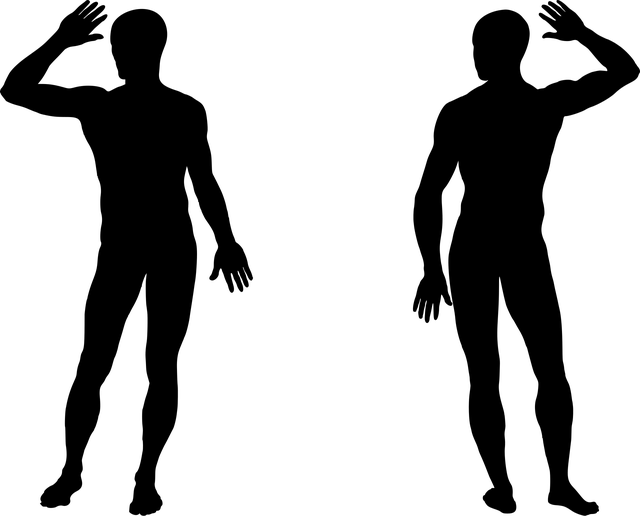 Troglodytes